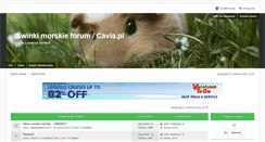 Desktop Screenshot of forum.cavia.pl